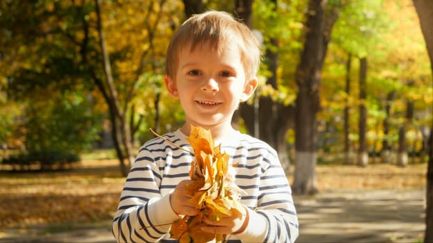 Portrait of little 4 years old boy holding golden autumn leaves and looking in camera.