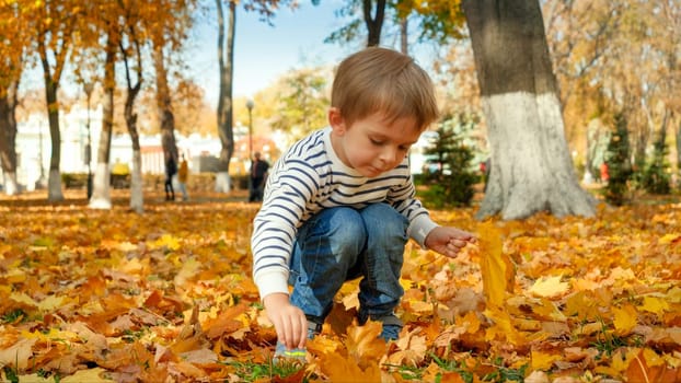 Cute little boy collecting and picking up beautiful fallen leaves at autumn park.
