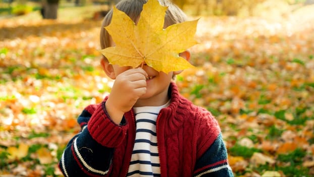 Portrait of smiling toddler boy holding yellow mapple tree leaf at his face.