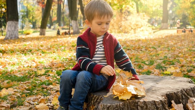 ADorable little boy sitting on tree stump at autumn park.