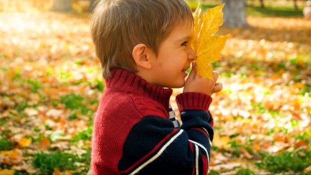 Happy smiling toddler boy holding yellow fallen autumn leaf at park.