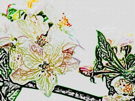 blossom of an apple tree