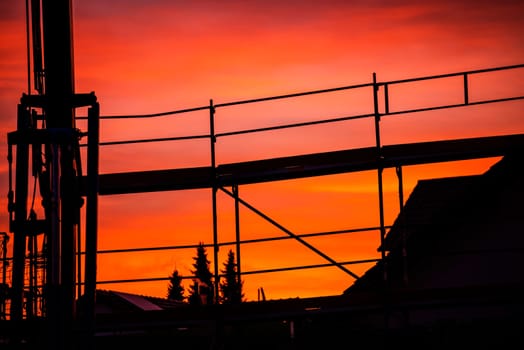 Crane at dawn