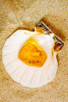 Amber with embedded insect