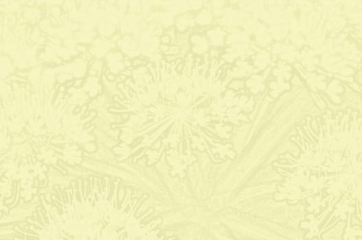 stationery with angelica flower
