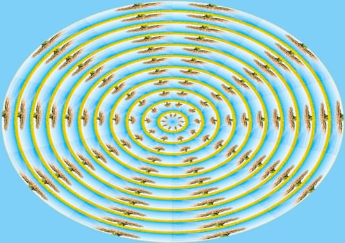 colorful spiral with trees