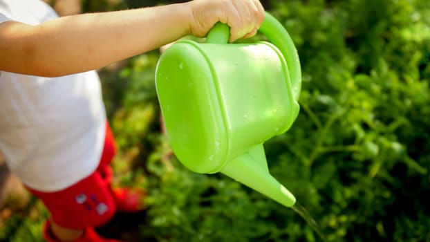 Closeup image of little boy watering flowers growing at garden.