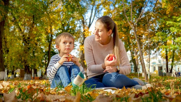 Portrait of adorable little boy with young mother on picnic at autumn park.