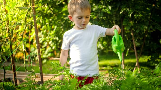 Portrait of little toddler boy helping parents working in garden and watering vegetables.