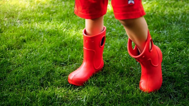 Closeup photo of child's feet in red rubber booy on fresh green grass.