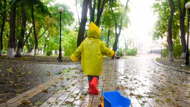 Rear view photo of little boy pulling toy truck by rope on rainy day at autumn park.