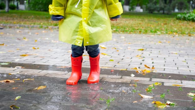 Closeup photo of child's feet in red rubber boots walking over big puddle at park.