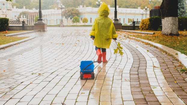 Toned image of little boy walking with his toy dump truck on rainy day at park.