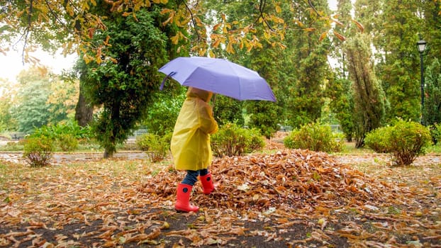 Little boy with umbrella walking over wet auutmn leaves after rain at park.