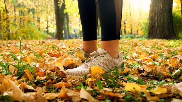 Closeup photo of young woman wearing sports sneakers and sexy fitness leggings in autumn park.