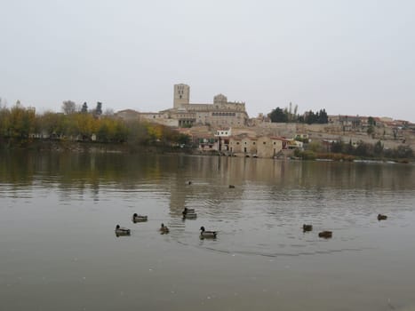 beautiful city with zamora river Ancient medieval Spain