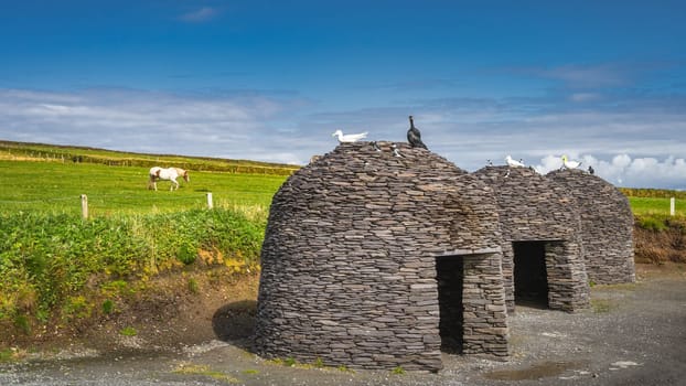 Stone houses as a wind and rain shelters with artificial sea birds on top at Kerry Cliffs. Horse on a field or pasture, Ring of Kerry, Ireland