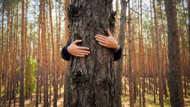 Closeup image of female activist hugging and embracing pine tree in forest. Concept of love, ecology protection and harmony with nature.