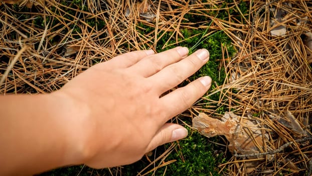 Closeup photo of woman touching ground in pine forest. Concept of ecology, environment protection and harmony with nature.