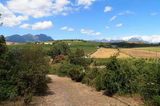 A view of hills near Stellenbosch, South Africa