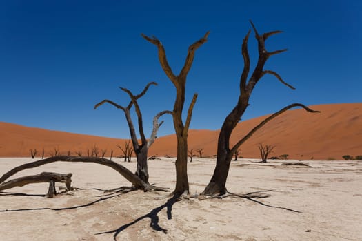 A view from Dead Vlei, Sossusvlei Namibia