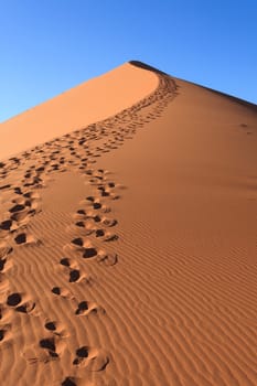 Red dune on the road to Sossusvlei, Namibia
