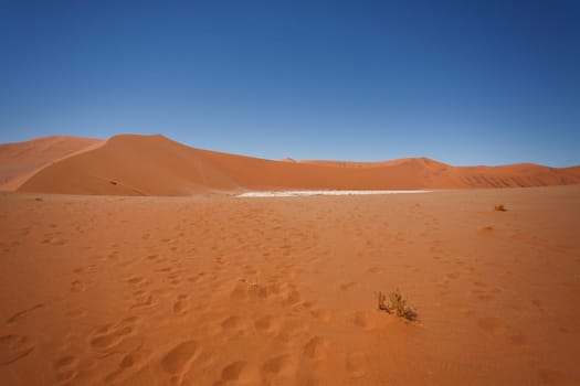 Panorama of red dunes from Hidden Vlei, Sossusvlei Namibia