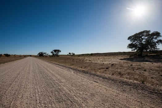 Road from Kgalagadi Transfontier park, South Africa