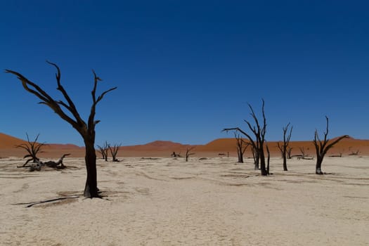 A view from Dead Vlei, Sossusvlei Namibia