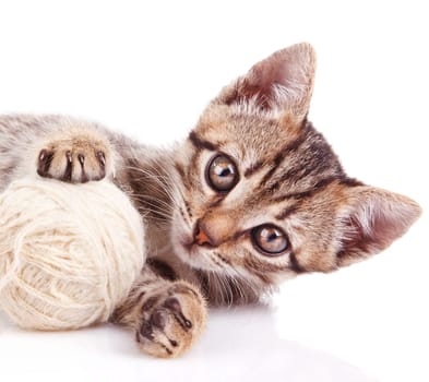 funny kitten playing with white ball