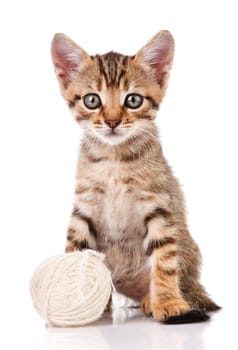 kitten with white ball isolated on white background