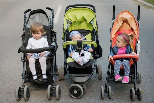 beautiful babies sitting in a stroller in the park
