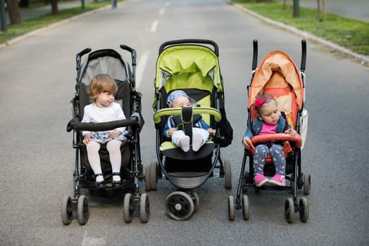 beautiful babies sitting in a stroller in the park
