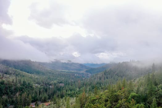 Beautiful and peaceful forest under cloudy sky and with mountains as background. Aerial view of cloudy and foggy skyline above the woods. Wooded and rocky landscapes