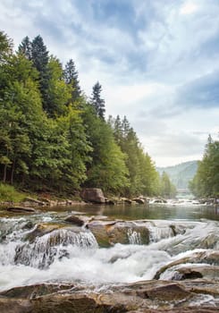 Mountain stream in a  forest.