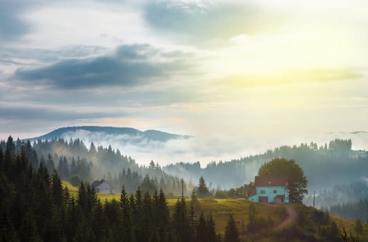 beautiful cottage in the mountains  forest