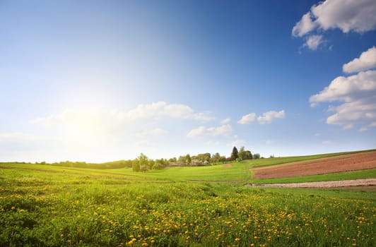 beautiful Nature green landscape