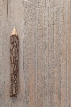 tree,trunk,pencil,wood,nature,handmade,supplies