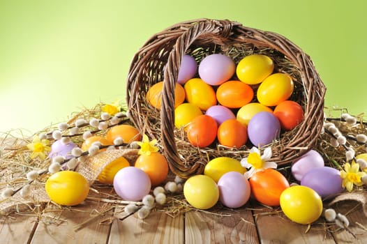 Easter basket with Easter eggs,daffodils and palm kittens on old weathered wooden boards