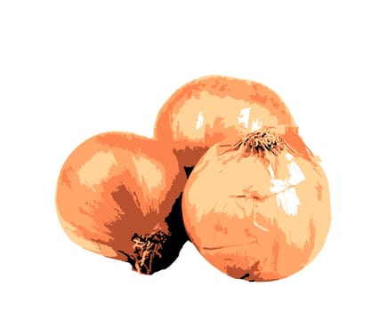 Image Of Onion On White Background