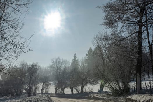 road in snowy winter landscape