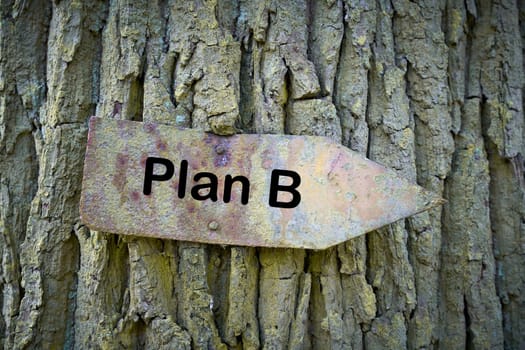 rusty old sign on a tree in the forest with the text Plan B