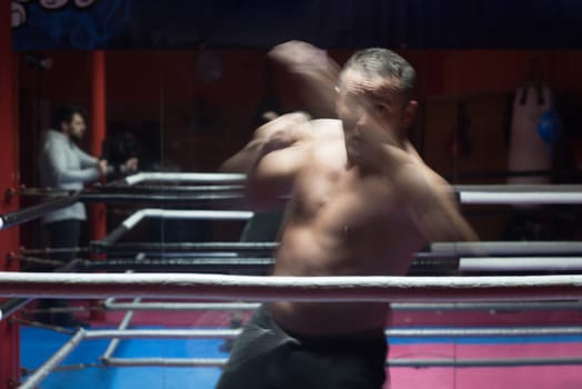 professional kickboxer with hands in martial arts position training for the fight in the training ring