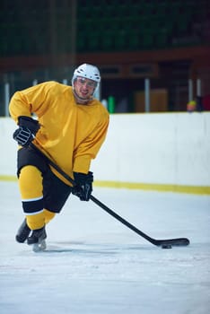 ice hockey player in action kicking with stick