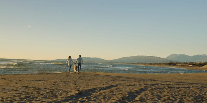 Couple Running On The Beach Holding Their Hands with dog On autmun day