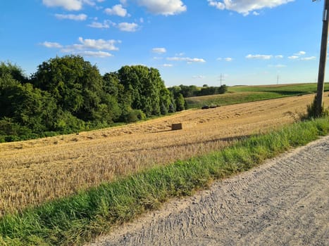 Agriculture. Tractor plowing field. Wheels covered in mud, field in the backround. Cultivated field. Agronomy, farming, husbandry concept.