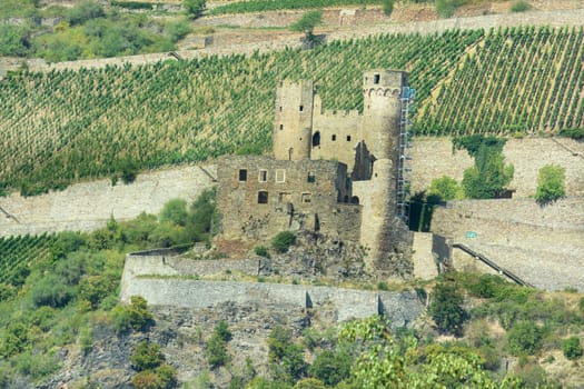 Ruine der Burg Ehrenfels, Rüdesheim am Rhein, Rheingau, Hessen, Deutschland
