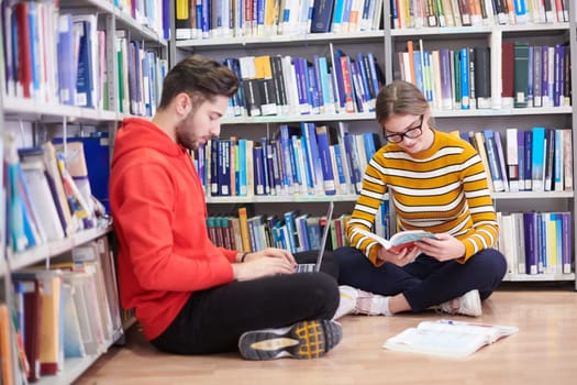 two young students sit in the school library and use a laptop to take notes