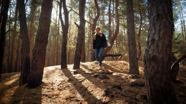 Beautiful female tourist walking down the hill in pine forest at sunset.