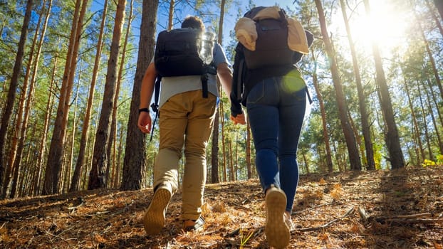 Rear view image of young man holding his wife by hand while travelling and hiking in forest.